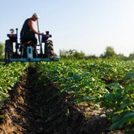 Quality Agri Inputs and Instruments